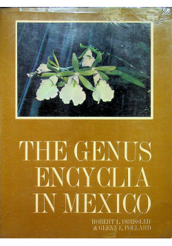 The genus encyclia in Mexico