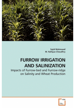 Furrow Irrigation And Salinization