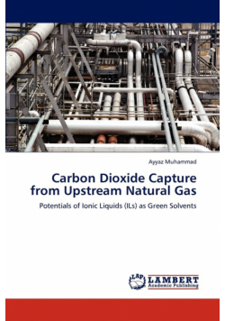 Carbon Dioxide Capture from Upstream Natural Gas