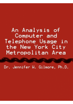 An Analysis of Computer and Telephone Usage in the New York City Metropolitan Area