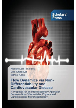 Flow Dynamics via Non-Differentiability and Cardiovascular Disease