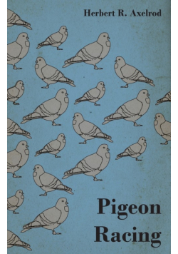 Pigeon Racing