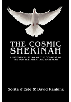 The Cosmic Shekinah