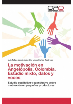 La motivación en Angelópolis, Colombia. Estudio mixto, datos y voces