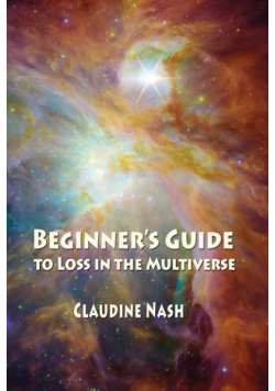 Beginner's Guide to Loss in the Multiverse