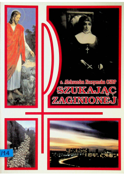 Szukając zaginionej