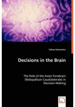 Decisions in the Brain