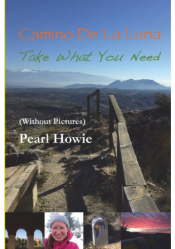 Camino De La Luna  - Take What You Need  (Without Pictures)