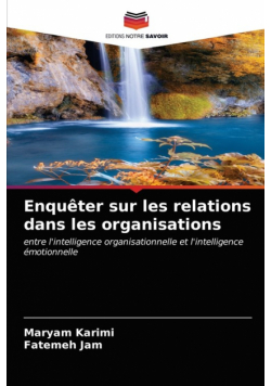 Enquêter sur les relations dans les organisations