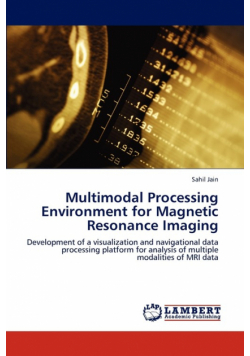 Multimodal Processing Environment for Magnetic Resonance Imaging