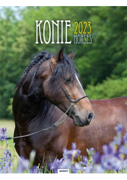 Kalendarz 2023 Ścienny spirala Konie AVANTI