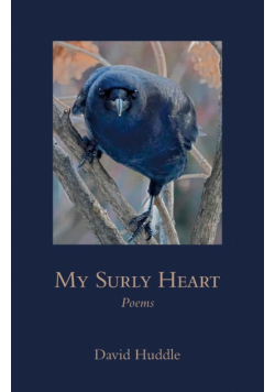 My Surly Heart
