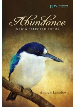 Abundance