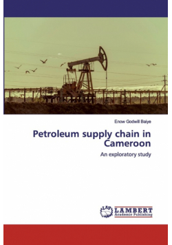 Petroleum supply chain in Cameroon