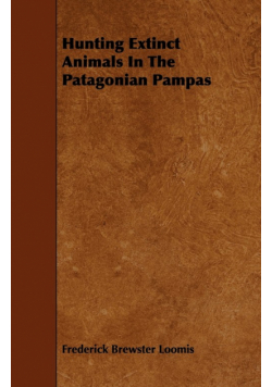 Hunting Extinct Animals In The Patagonian Pampas