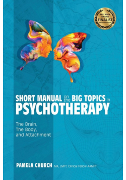 Short Manual on the Big Topics in Psychotherapy