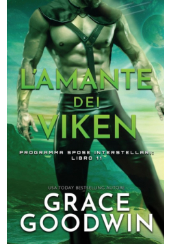 L'amante dei Viken
