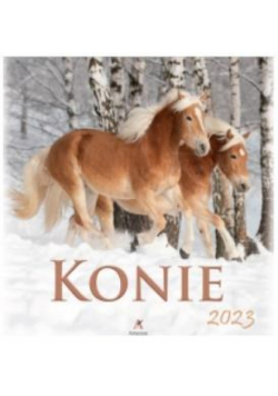 Kalendarz 2023 Wieloplanszowy Konie ARTSEZON