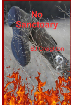 No Sanctuary