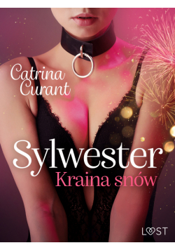 Sylwester: Kraina snów – opowiadanie erotyczne BDSM