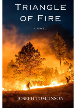 Triangle Of Fire
