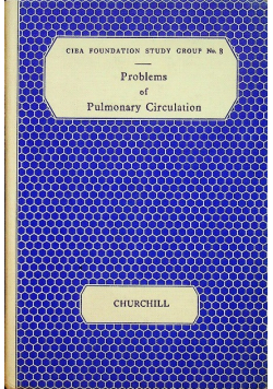 Problems of Pulmonary Circulation