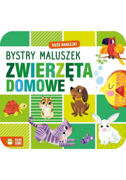 Bystry maluszek Zwierzęta domowe