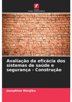 Avaliação da eficácia dos sistemas de saúde e segurança - Construção