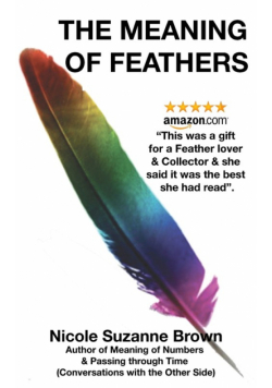 The Meaning of Feathers