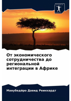 От экономического сотрудничества до региональной интеграции в Африке