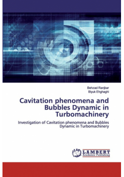Cavitation phenomena and Bubbles Dynamic in Turbomachinery