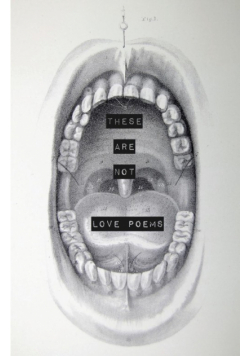 These Are Not Love Poems