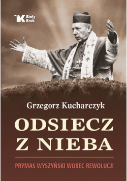 Odsiecz z nieba