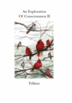 An Exploration of Consciousness II