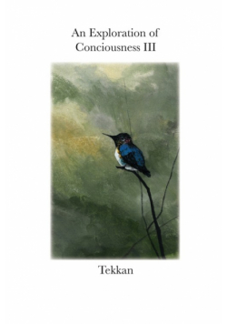 An Exploration of Consciousness III