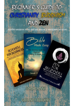 Beginner's Guide To Christianity, Buddhism And Zen