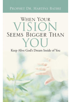 When Your Vision Seems Bigger Than You