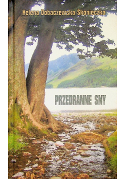 Przebrane sny