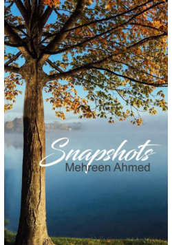 Snapshots