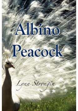 Albino Peacock