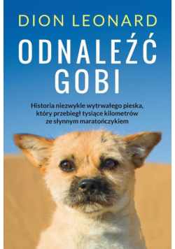 Odnaleźć Gobi