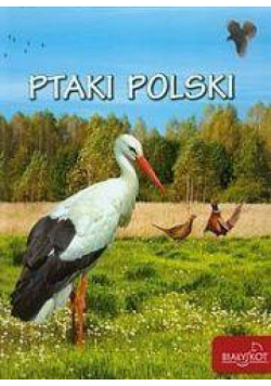 Ptaki Polski w.2015