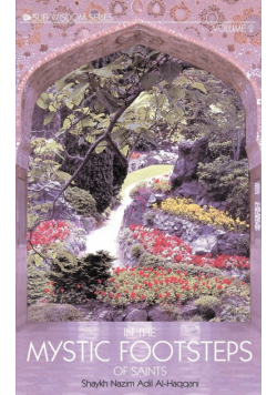 In the Mystic Footsteps of Saints, Vol. 2