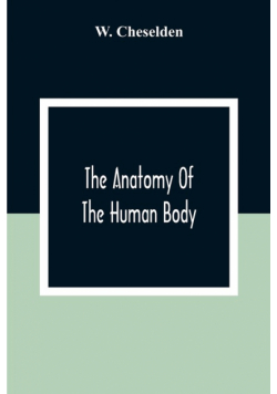 The Anatomy Of The Human Body
