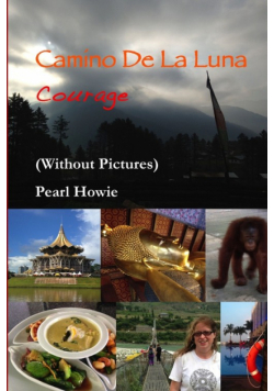 Camino De La Luna - Courage (Without Pictures)
