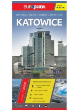 Plan Miasta EuroPilot. Katowice plastik