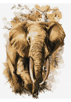 Malowanie po numerach - Wielka mądrość 30x40