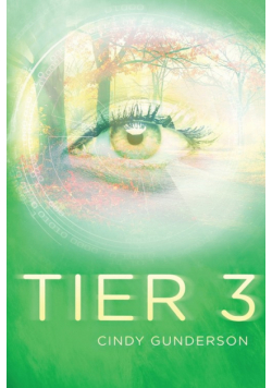 Tier 3