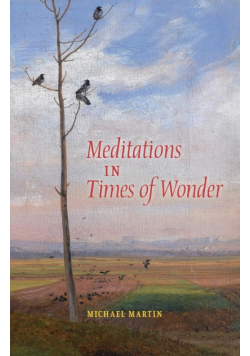 Meditations in Times of Wonder