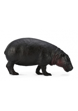 Hipopotam karłowaty